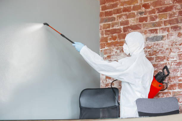 Best Mold Damage Restoration  in Monroeville, IN