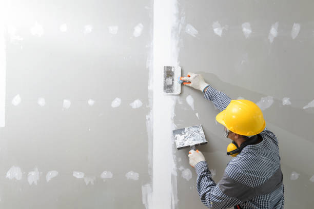 Best Dehumidification Services  in Monroeville, IN