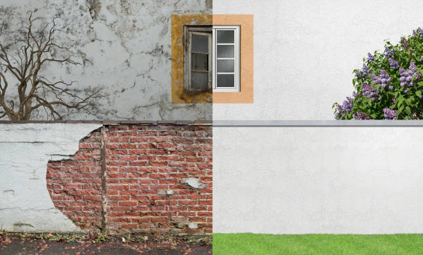 Best Mold Documentation for Insurance Claims  in Monroeville, IN