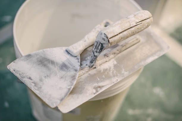 Best Basement Mold Removal  in Monroeville, IN